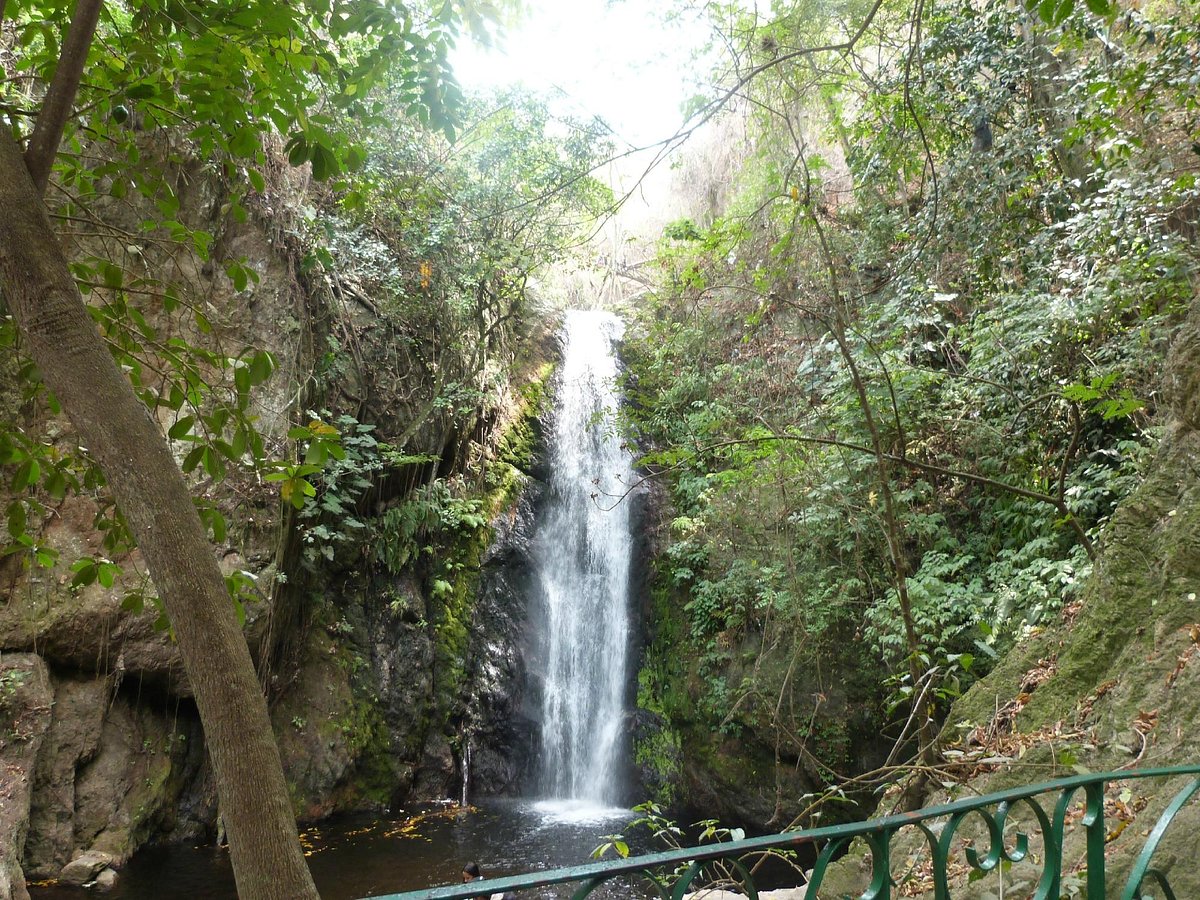 Parque Los Chorros