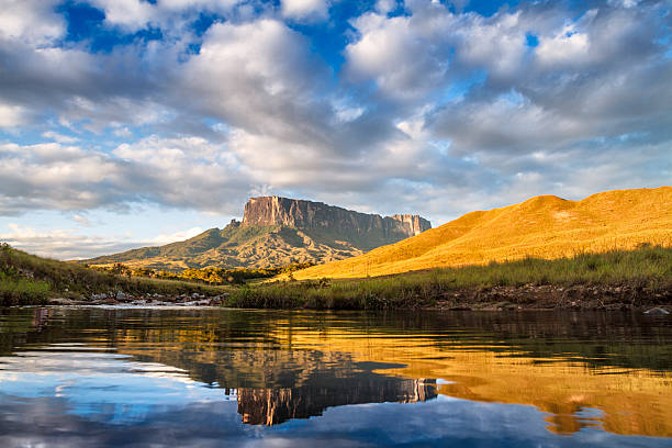 Fauna Gran Sabana