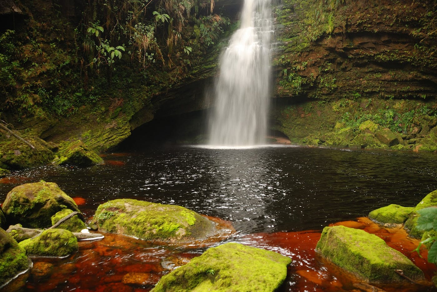Entrada Cueva del Guácharo