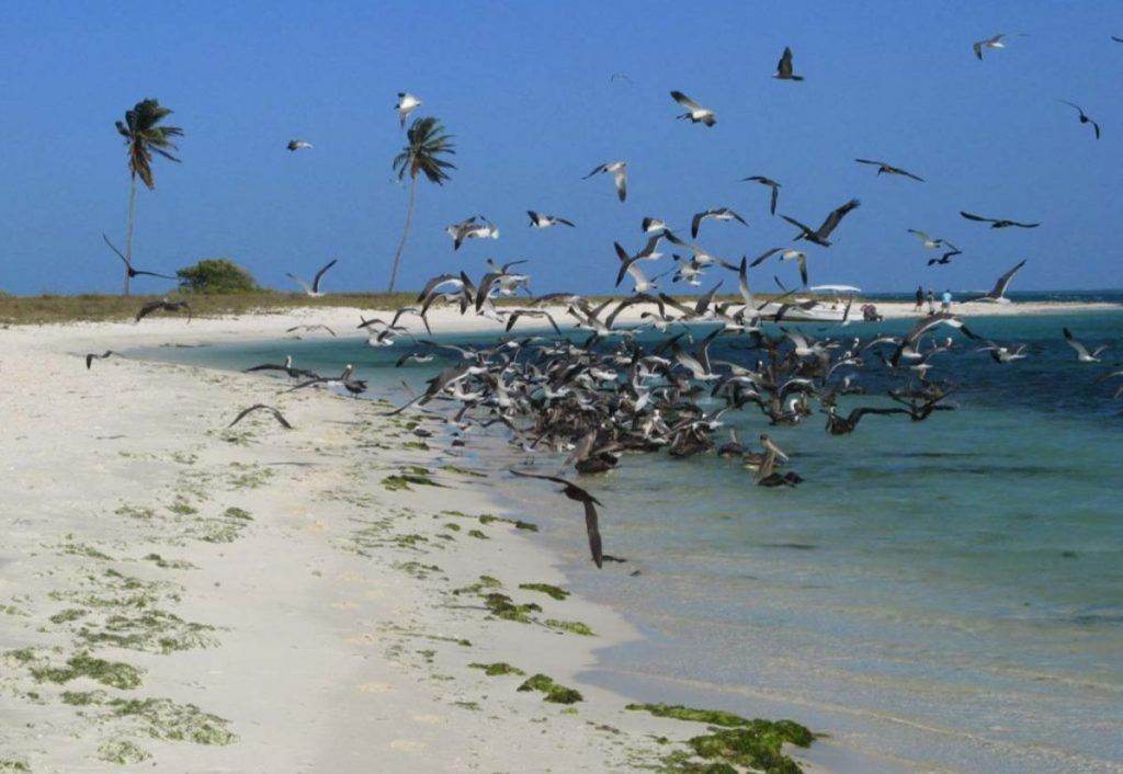 La Isla