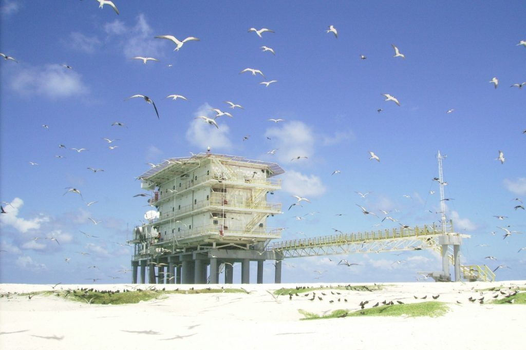 Tortuga Verde en Isla de Aves